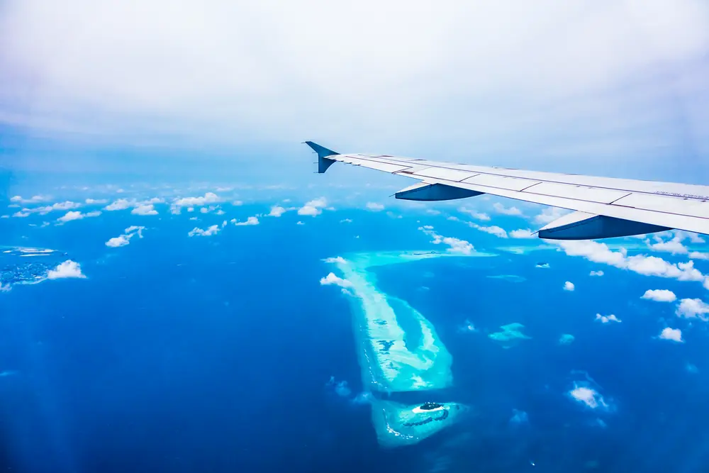 Flight