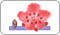 China Airlines